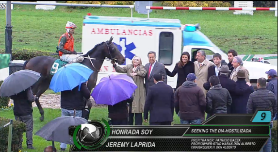 “Criadores - Dorama María Luisa Solari F. y Marcel Zarour A.” G2 2016